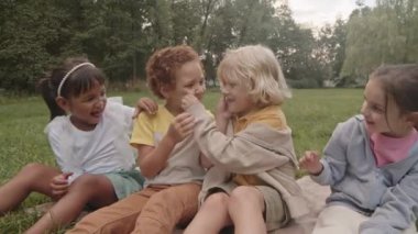 Çok ırklı dört ilkokul öğrencisinin orta uzunlukta parkta çimenlerde oturup birbirlerinin yüzlerini çimdiklemeleri, gülümsemeleri.