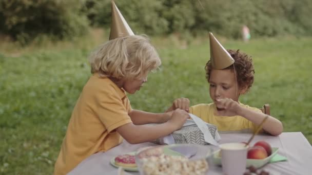 Medium Närbild Lockigt Mixed Race Pojke Och Hans Blonda Femåriga — Stockvideo