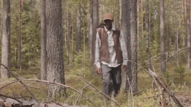 Mutlu Afro-Amerikan çiftin yaz ormanlarında yürürken çekilmiş yavaş çekimleri.