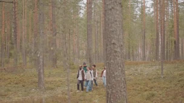 遅い追跡ワイドショットの5人の若いです大人人々とともにバックパック歩行で空の森で涼しい朝 — ストック動画