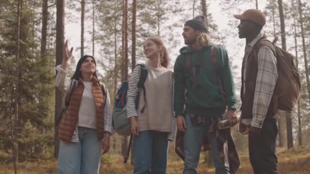 Slowmo Medium Shot Fyra Unga Vuxna Med Ryggsäckar Som Har — Stockvideo