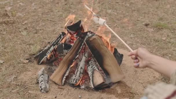森の中でキャンプファイヤーで揚げマシュマロを作る認識できない女性の遅いクローズアップ — ストック動画