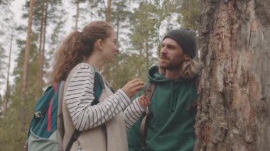 Genç beyaz çiftin yaz yürüyüşü sırasında ormanda duran yaşlı ağaç kabuklarını incelerken ve tartışırkenki yavaş çekimleri.