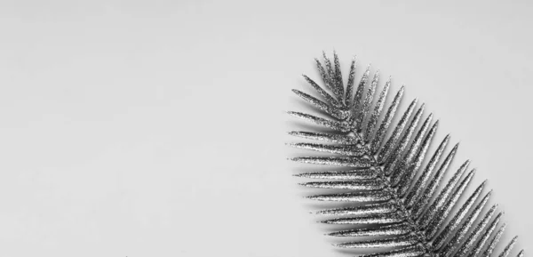 Folhas de palmeira tropical dourada no fundo cinza. Espaço de cópia criativo concept.Creative mínimo inspirado na selva. — Fotografia de Stock