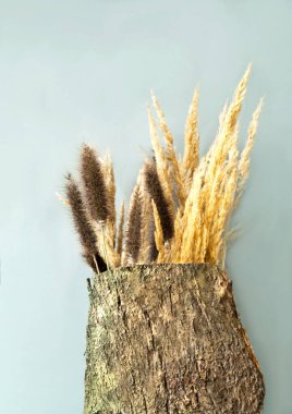 Ağaç kabuğunun içinde gri arka planda kurumuş çiçekler. Salgın sırasında evlerde daha fazla doğa kavramı. İç tasarım için yakın çekim, yaratıcı kopya alanı