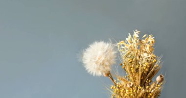 Kurumuş çiçeklerden ve gri arka planda kuru gevreklerden oluşan yaratıcı bir düzen. Doğanın biyofilik tasarımı ya da şifa veren renkleri. Yakın plan, kopyalama alanı