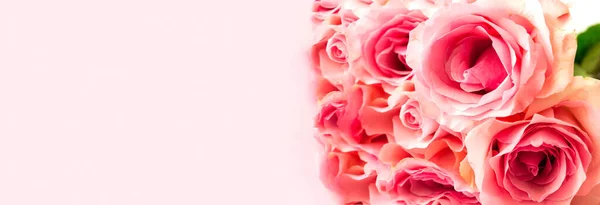 Moderne bloemenachtergrond. Biofiel ontwerp of kleuren van de natuur. Close-up van rozenblaadjes. Stemmingsversterkende kleur. — Stockfoto