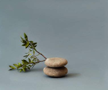 Pastel arka planda bitki dallı doğal gri taş podyum. Ürünlerin sunumu, sergi için hazırlan. Yaratıcı kopyalama alanı