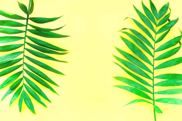 Žluté Pozadí Palmovými Listy Moderní Barva2021 Detailní Kreativní Kopírovací Prostor — Stock fotografie
