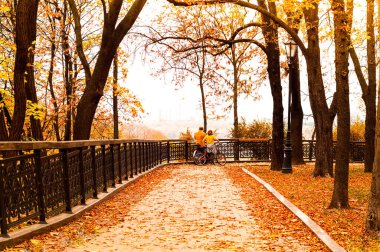 Şehir parkında sonbahar sabahı bisikletleri olan yaşlı vatandaşlar. Sonbahar havası ya da mutluluk küçük şeylerdedir. Yaratıcı kopyalama alanı.