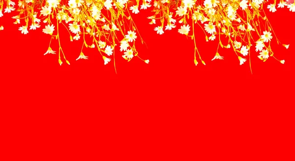 White wildflowers on red background. Creative copy space for positive mood.