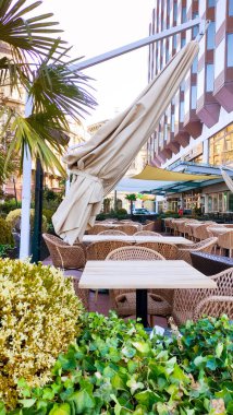 Samimi bir sokak kafesi. Canlı yeşil uzay konsepti. Yakın plan.