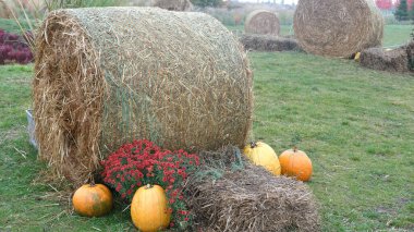 Large hay bale with pumpkins and red flowers arranged on green grass in rustic autumn setting