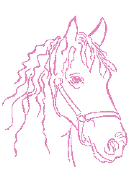Cross stitch borduurwerk paard hoofd — Stockvector