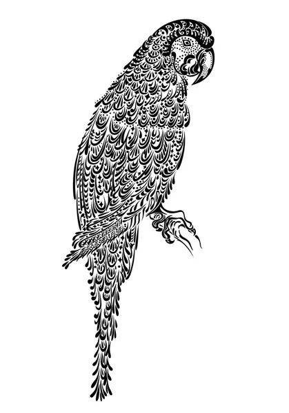 内装のオウム鳥飾りパターン — ストックベクタ