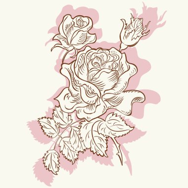 Çizim çiçek dekoratif gül