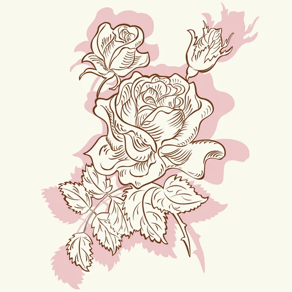 Rysunek róży kwiat ozdobny — Wektor stockowy