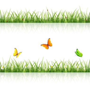 Kelebekler ve ladybugs ile çimen