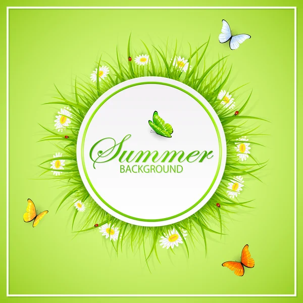 Verão fundo verde com grama e borboletas — Vetor de Stock