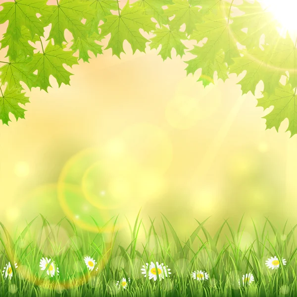 Çim ve akçaağaç yaprakları ile bahar arka plan — Stok Vektör