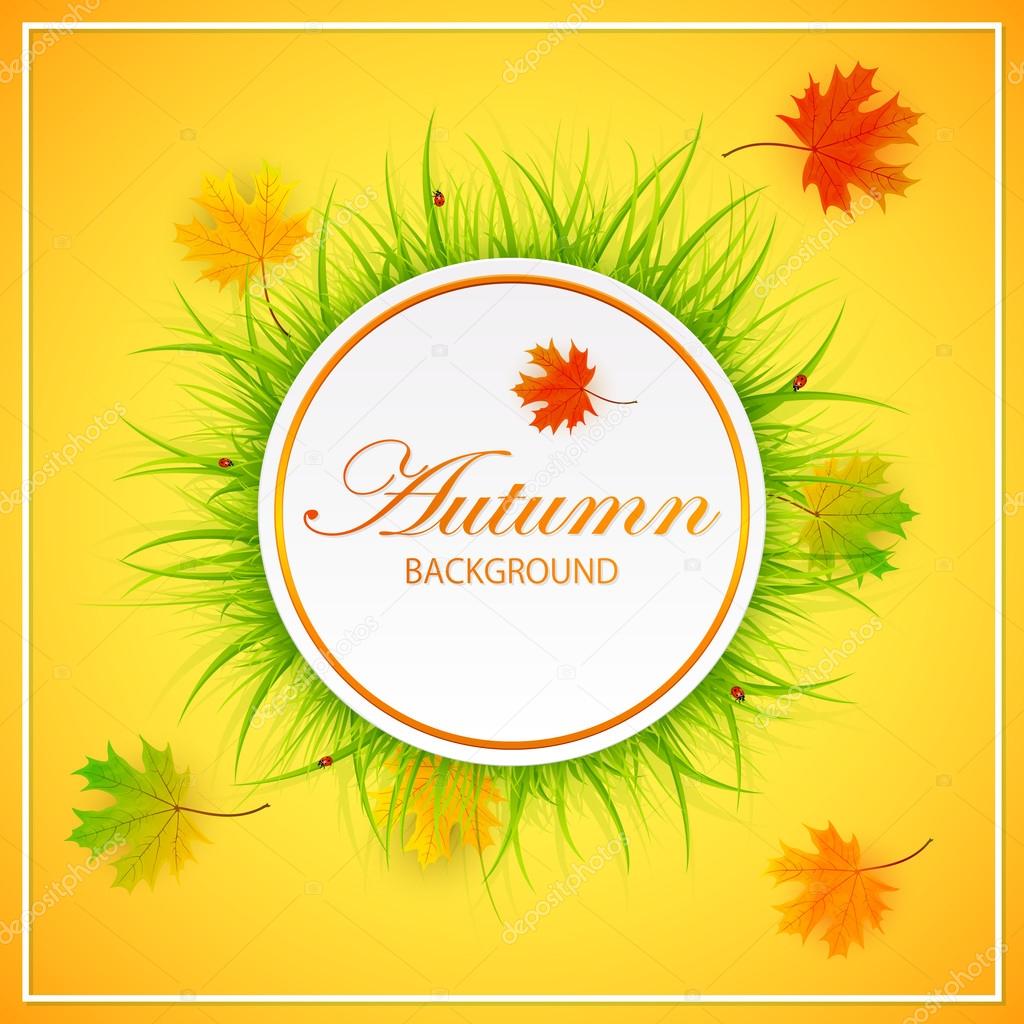 Autumn orange background with grass and leaves