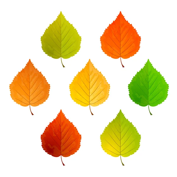 Jeu de feuilles — Image vectorielle