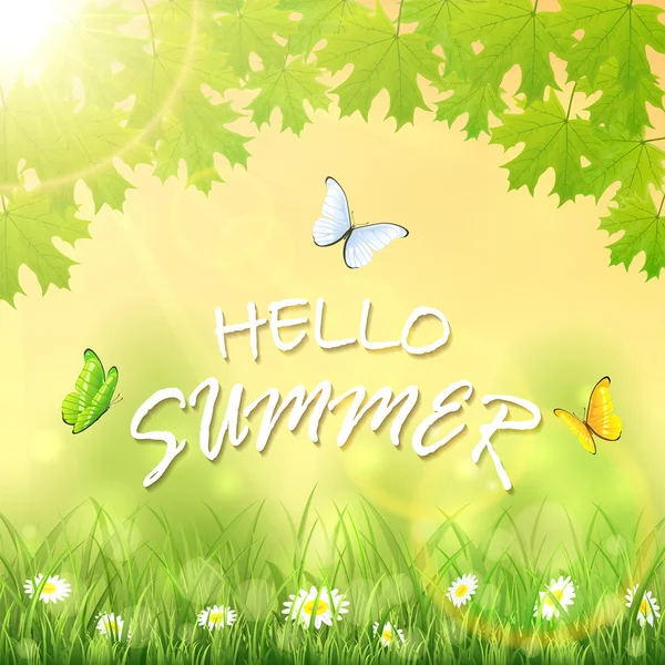 Hello, nyári és a pillangók — Stock Vector