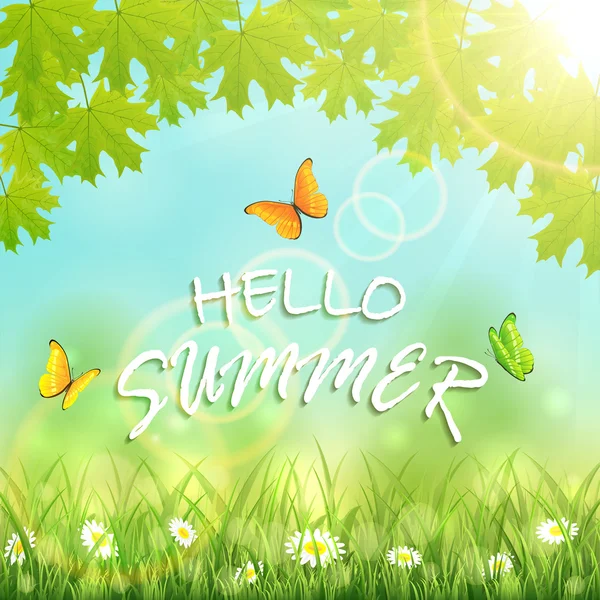 Hello Summer inscription — Stock Vector