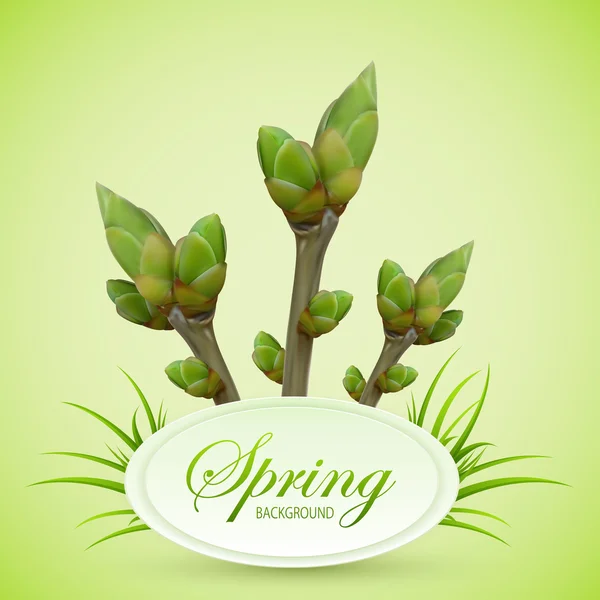 緑の背景に春枝 — ストックベクタ