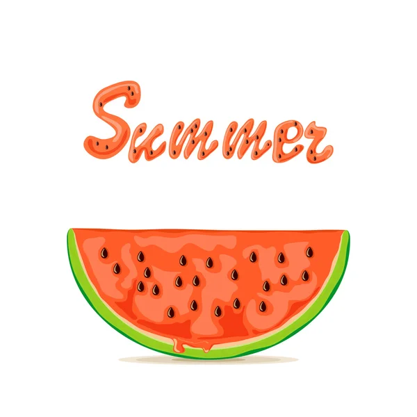 Summer and watermelon — Stock Vector
