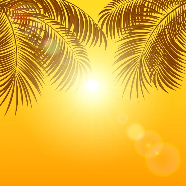 Palms on orange background — Stock Vector