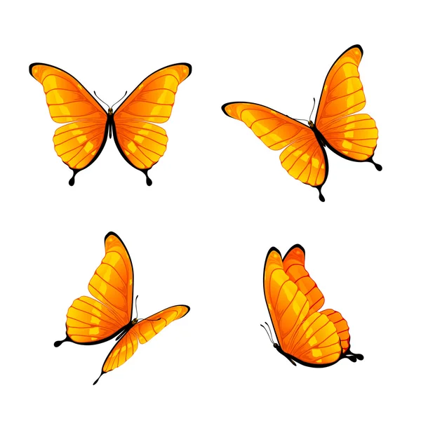 Conjunto de mariposas naranjas — Vector de stock