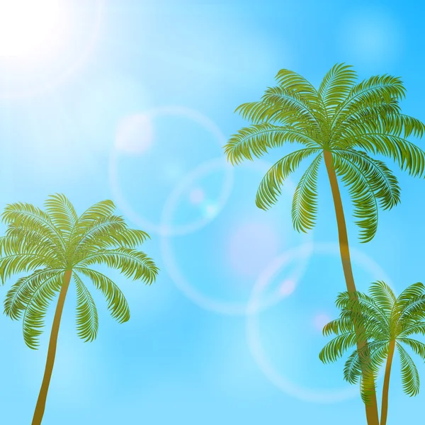 Palm trees on blue sky background — Stock Vector