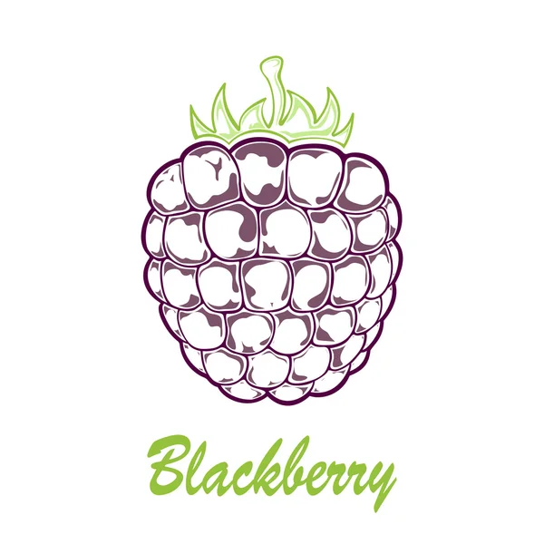 Mogen blackberry ikonen — Stock vektor