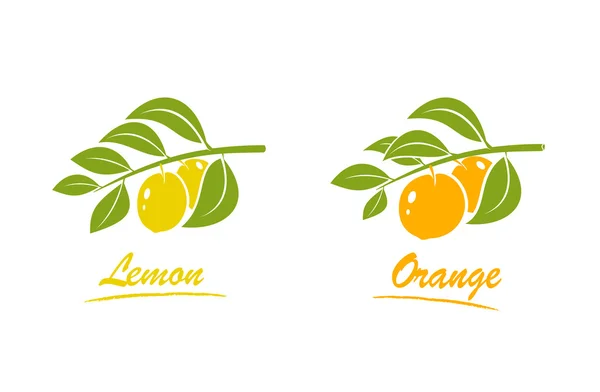 Laranja e limão — Vetor de Stock