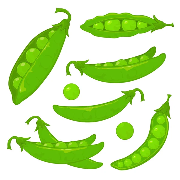 Green peas on white background — Stock Vector