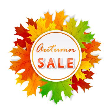 Akçaağaç yaprakları sonbaharda satışa