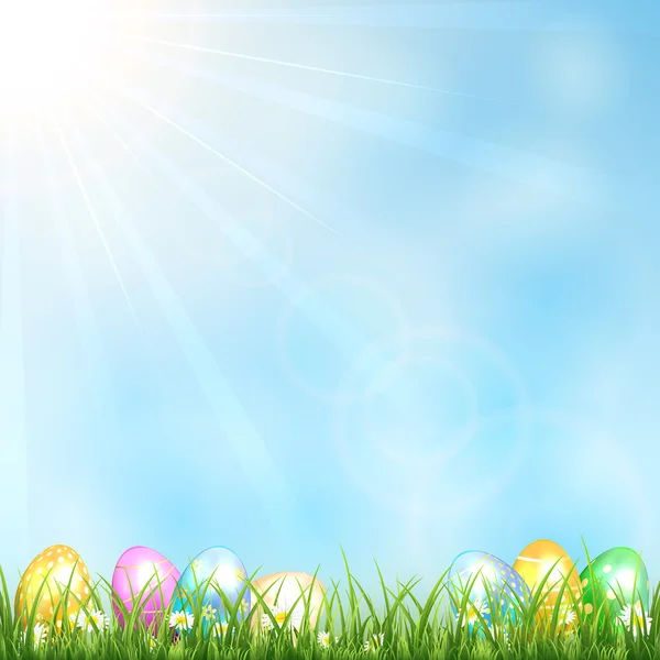 Sunny background with grass and eggs — Stock Vector