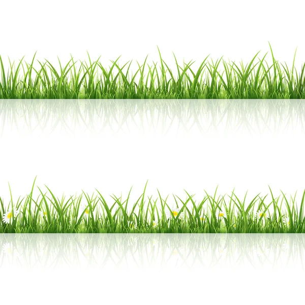 Grass — Stock Vector