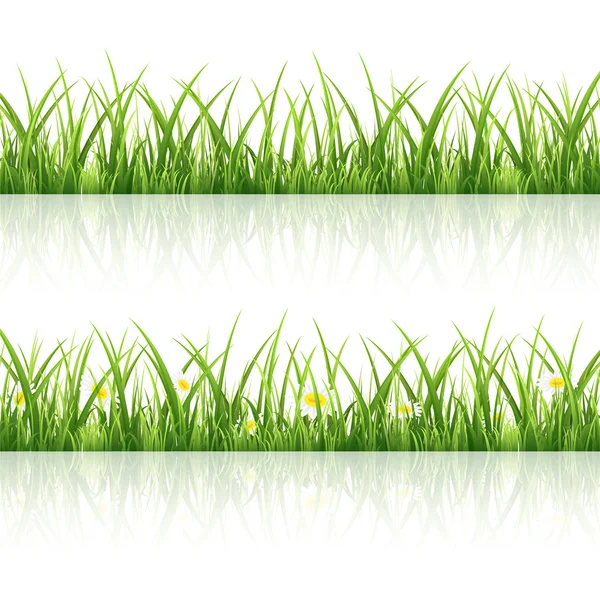 Groen gras — Stockvector