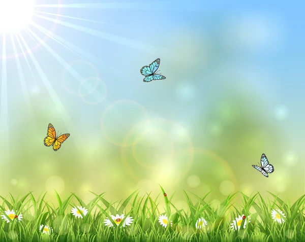Slunečné pozadí s motýly — Stockový vektor