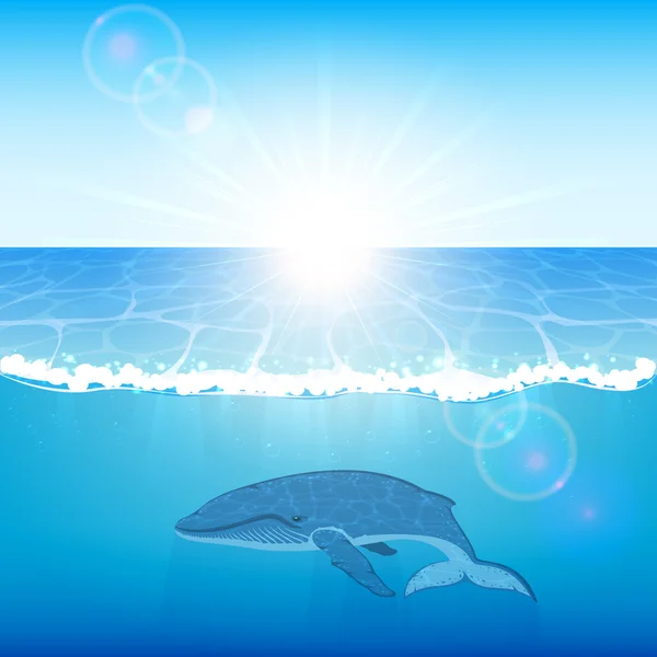 Balena nell'oceano — Vettoriale Stock
