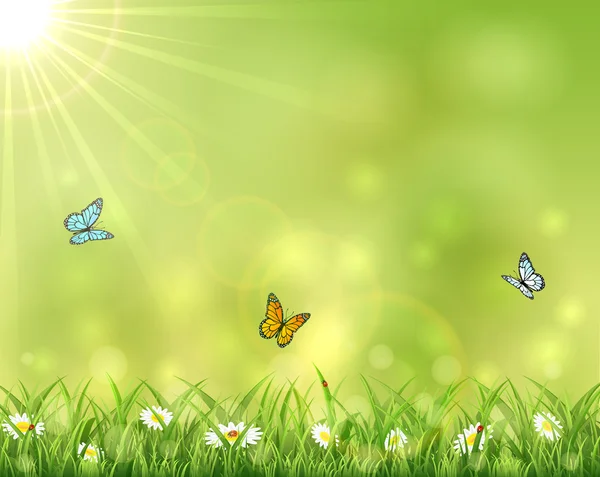 Slunečného pozadí s třemi motýli — Stockový vektor