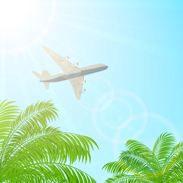 Plane flying above the palms — Stock Vector