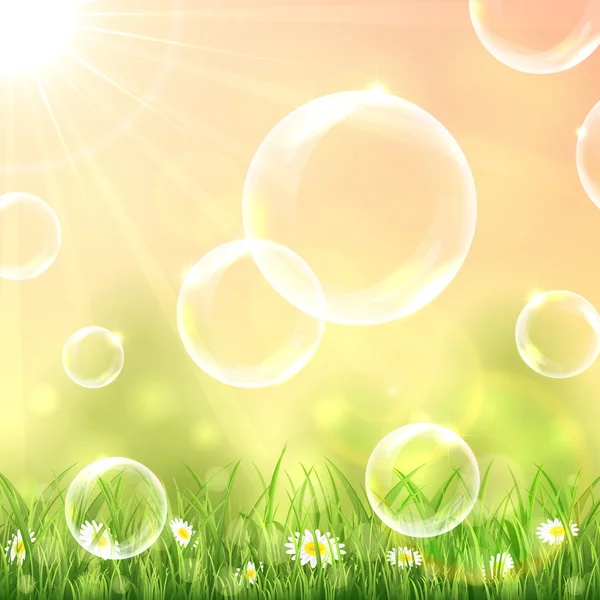 Bubbels boven het gras — Stockvector