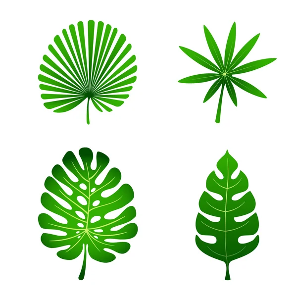Φύλλα — Διανυσματικό Αρχείο