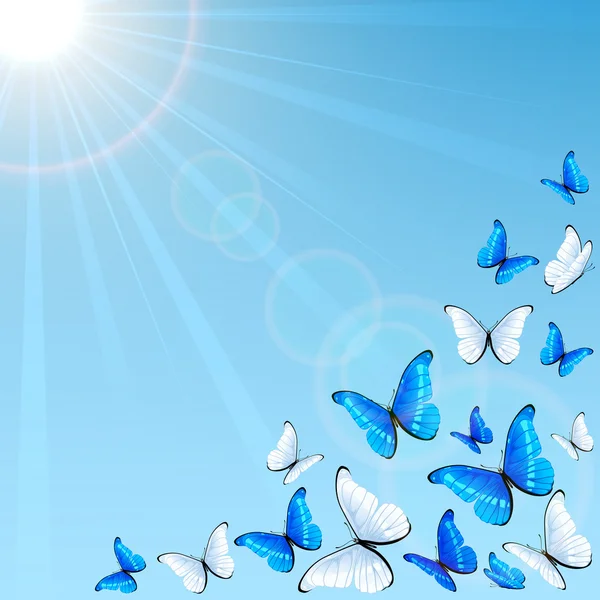 Mariposas azules en el fondo del cielo — Vector de stock