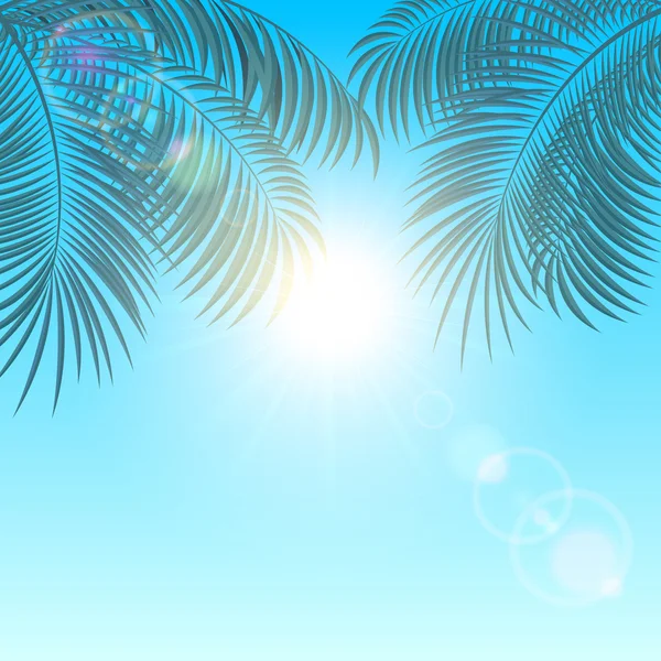 Palms on blue background — Stock Vector