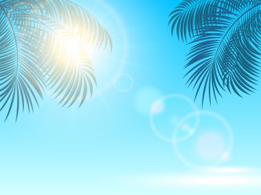 palmiye yaprakları ve güneş mavi zemin üzerine