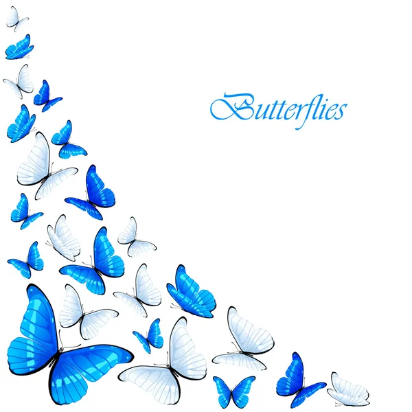 Blauwe en witte vlinders — Stockvector